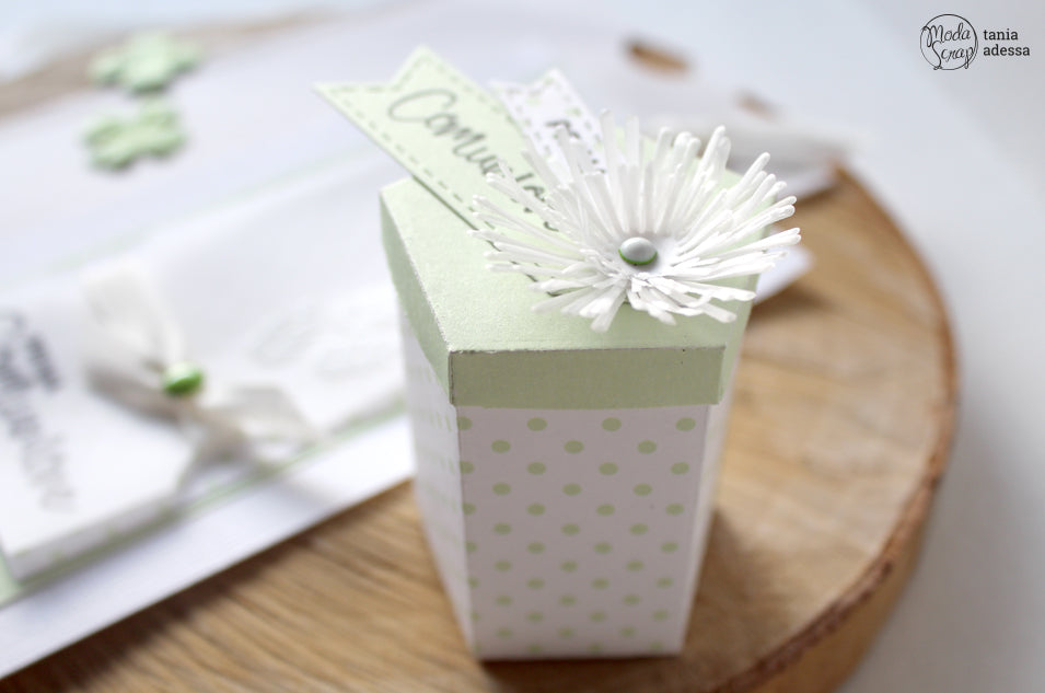 CANDY BOX. THE MAIN ATTRACTION.