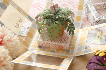 SPRING EXPLOSION BOX