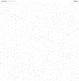 MODASCRAP - PAPER PACK DREAM BIG, LITTLE ONE 12x12"